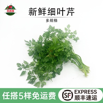 新鲜细叶芹西餐摆盘点缀装饰香草