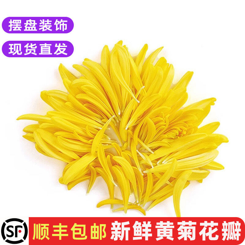 新鲜黄菊花花瓣西餐摆盘点缀花草