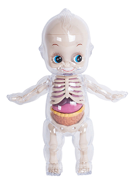 4DMASTER 12寸 全透明拼装解剖小天使玩偶摆件潮玩 拼装娃娃