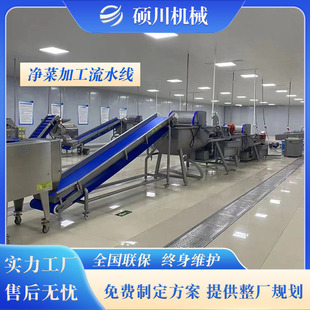 蔬菜臭氧去農殘清洗機 農產品深加工全套設備廠家 凈菜清洗流水線