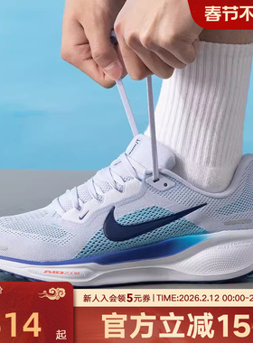 NIKE耐克飞马41男鞋25冬新款PEGASUS 41公路运动跑步鞋FD2722-014