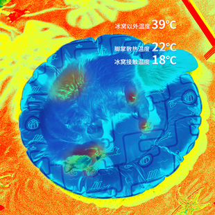 冰窝冰垫猫咪夏天降温猫窝狗窝睡觉专用垫子狗狗凉席凉垫 宠物夏季
