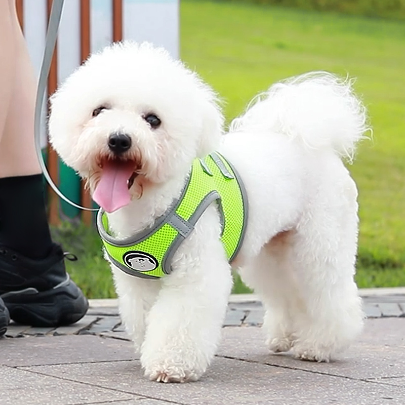 狗狗牵引绳小型犬胸背带背心式泰迪反光遛狗绳狗链子狗绳外出专用