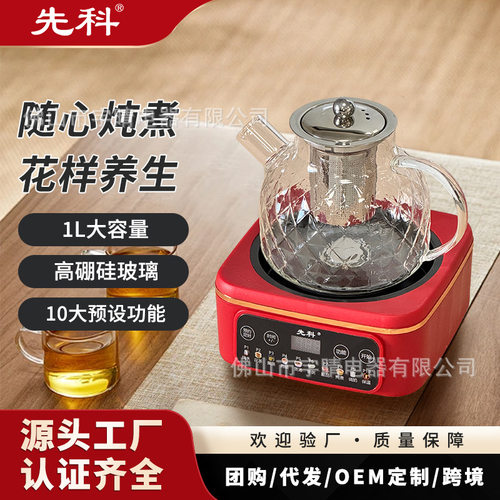 跨境养生壶家用办公室烧水壶花茶