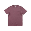 Gray Purple