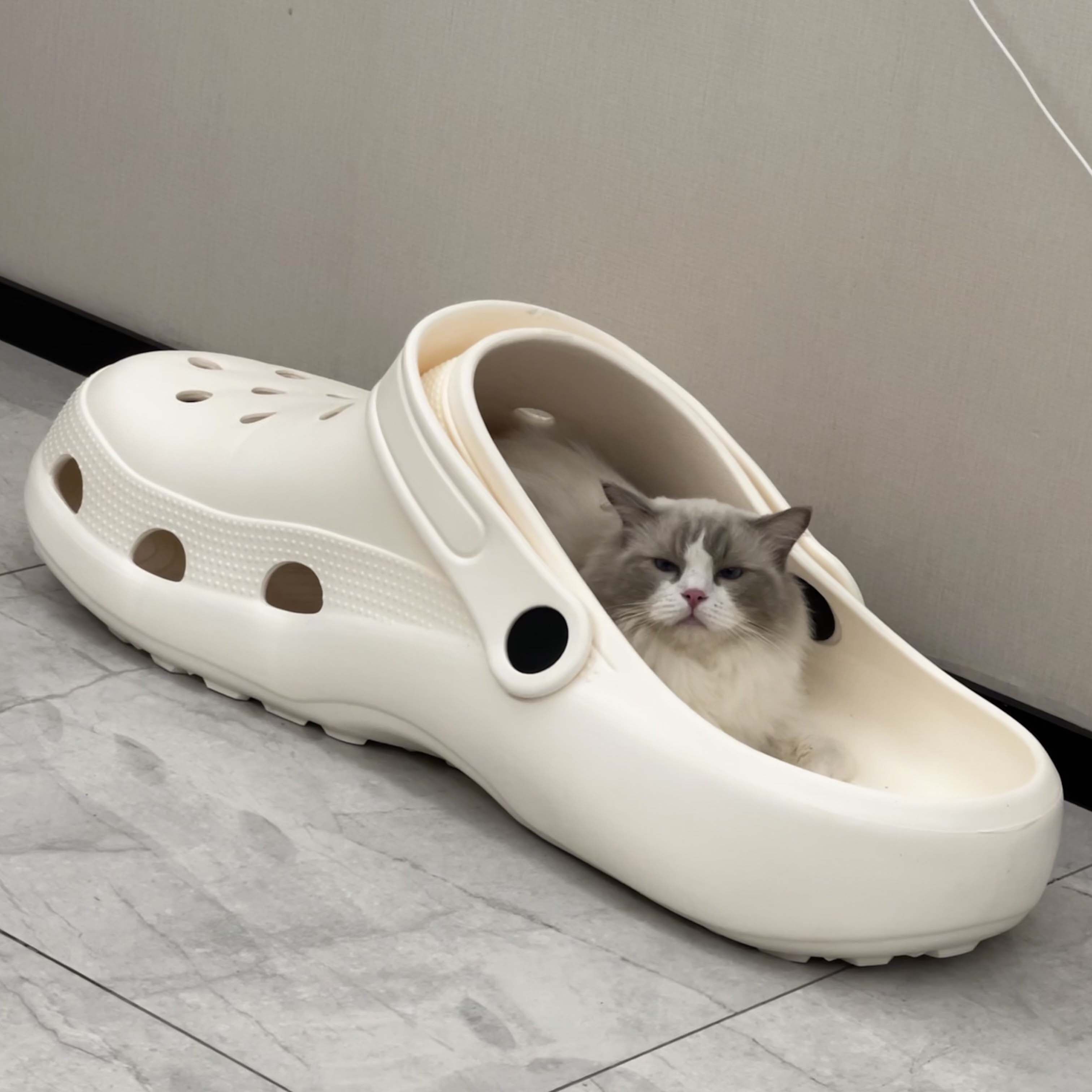 拖鞋猫窝洞洞鞋巨型大拖鞋窝狗窝超级搞怪海边网红拍摄视频道具