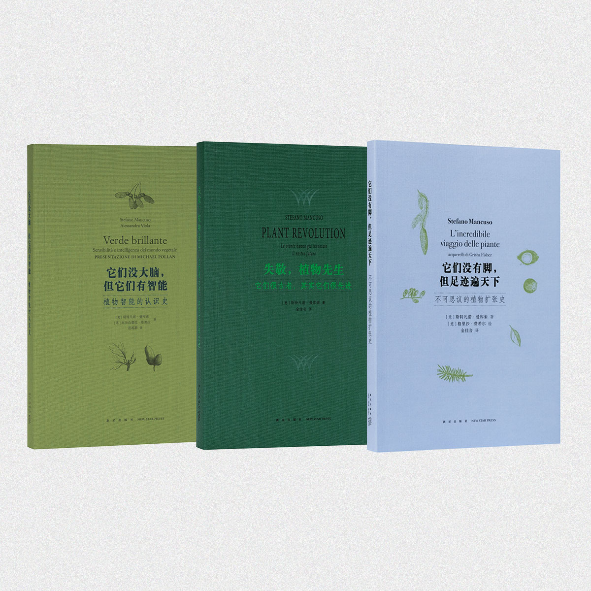 植物智能套装 向植物学习解决问题的能力 含《失敬，植物先生》《它们没大脑，但它们有智能》《它们没有脚，但足迹遍天下》