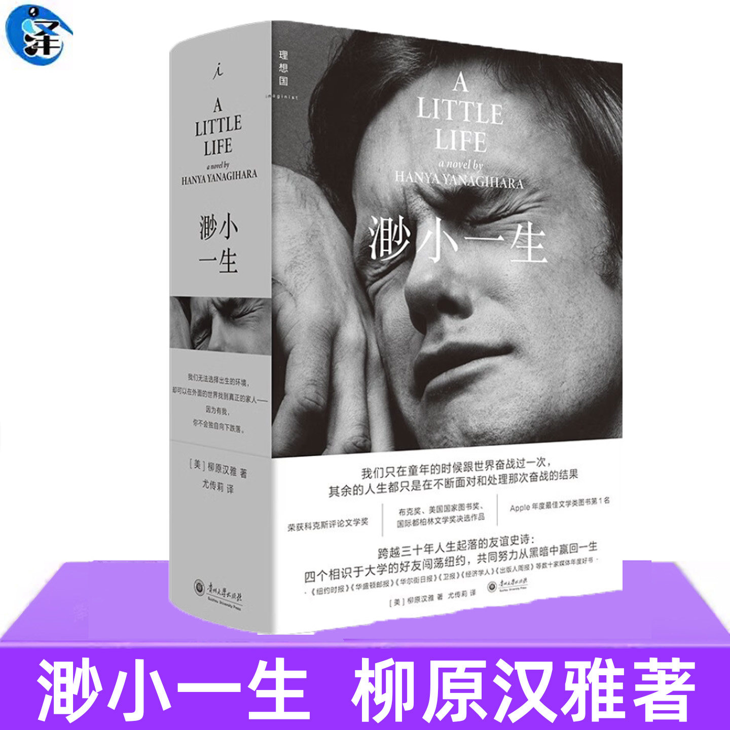 正版 渺小一生 柳原汉雅著 跨越三十年的友情史诗 焦虑时代城市打拼编年史 外国文学长篇小说书