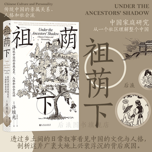 人格和社会流动 亲属关系 智慧宫丛书024 许烺光著 之作 祖荫下 社会流动文化研究社区家庭研究经典 传统中国