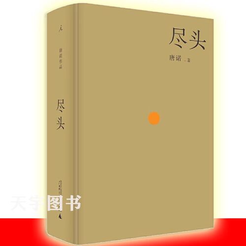 官方正版 尽头 唐诺作品 精装 散文集 中国现当代文学作品书籍 以尽头为坐标探究我们的现实处境 理想国