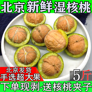 2026年鲜核桃青皮核桃北京湿核桃去青皮核桃青皮湿核桃孕妇青核桃