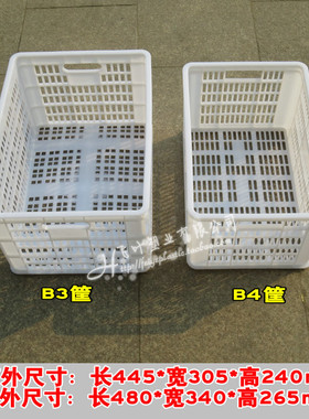 白色 新料B3 B4塑料周转筐 收纳筐物流水果筐/蔬菜筐 塑料筐