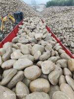 5-8 cm pebbles for power plant oil pool landscaping and garden greening in Shaoxing Substation, Ningbo, Zhejiang Province thumbnail 4