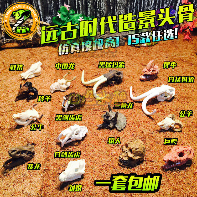 爬虫造景亚克力饲养箱蜥蜴蝎子
