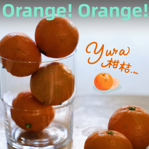 预【山纪生鲜】Yura蜜桔/良冬蜜香/果小皮薄