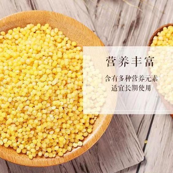 延安糜子米 稷米硬黄米炒米酸粥料酸捞饭牛羊粪自留种新品上市