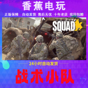 Steam正版Squad战术小队成品账号可改绑联机畅玩
