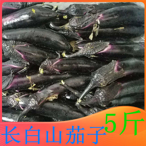 长白山新鲜茄子 东北茄子 蒜茄子 茄子新鲜 新鲜蔬菜2500g5斤