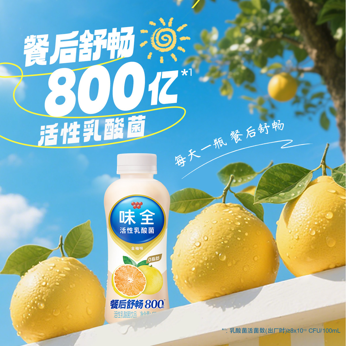 味全活性乳酸菌0脂肪金柚味