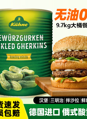 德国进口冠利俄式酸青瓜9.7kg