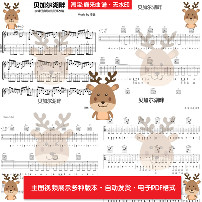 贝加尔湖畔-李健 共16个版本全发 吉他谱 指弹谱 PDF电子格式