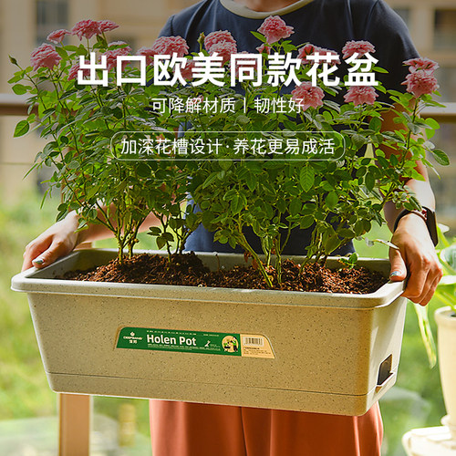 可降解花盆家用塑料大号户外庭院长方形阳台花箱透气多肉专用盆