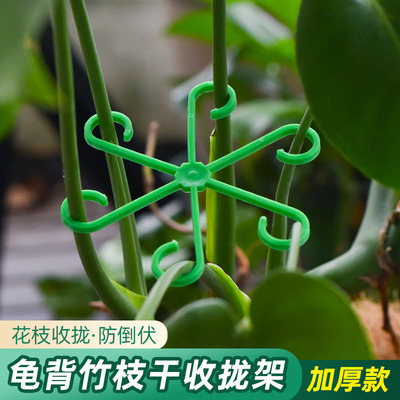 深邦龟背竹专用收拢架