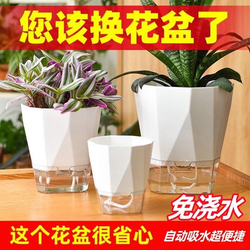 懒人简约树脂自动吸水清仓花盆
