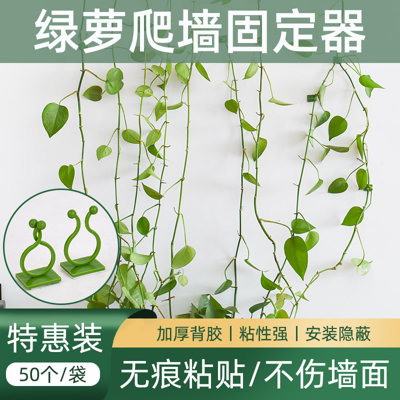 墙上无痕挂钩粘卡扣花夹子定型