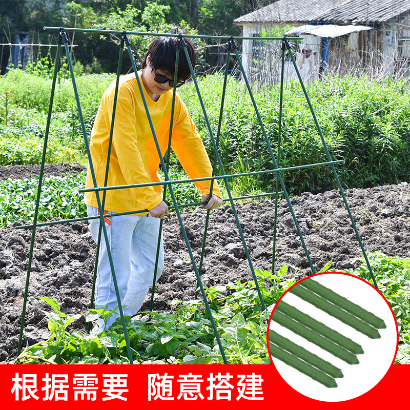 固定黄瓜葡萄架园艺牵引支撑杆