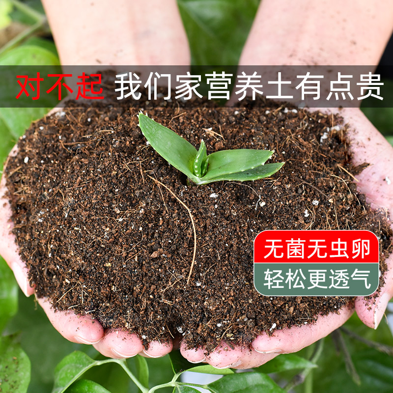 花土营养土花肥料家用养花专用种菜种植土盆栽通用型多肉有机土壤 鲜花速递/花卉仿真/绿植园艺 介质/营养土 原图主图