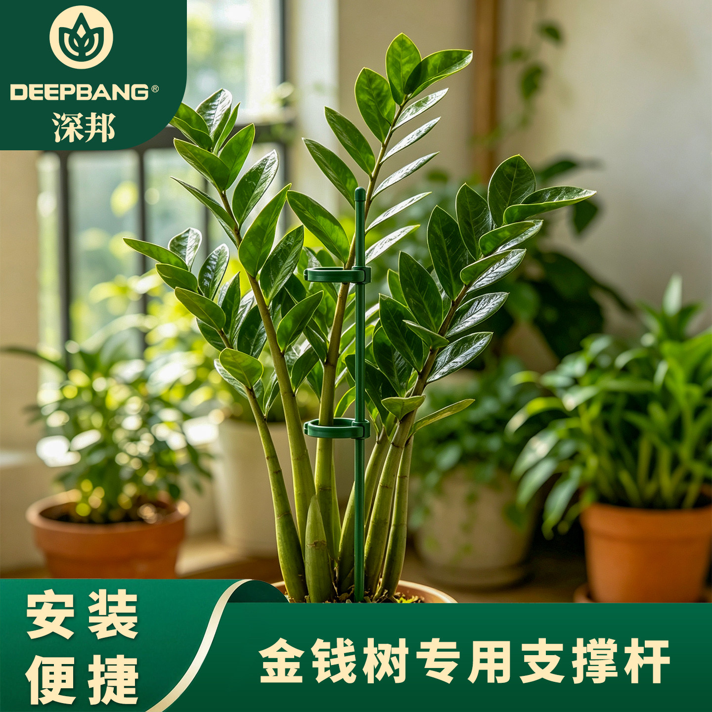金钱树支撑杆防倒伏聚拢花支撑架图片