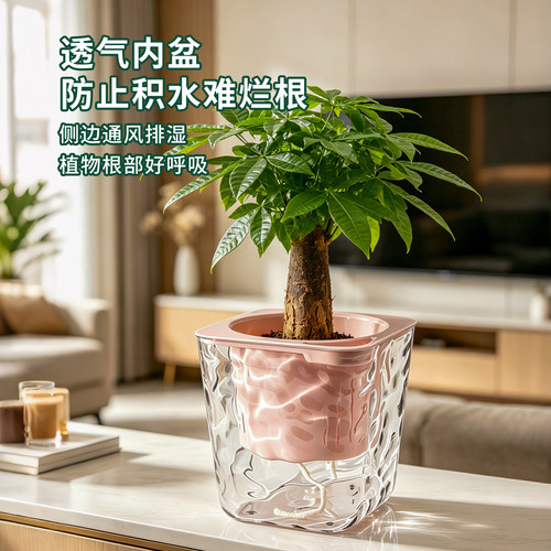 DEEPBANG透明家用水培花盆自吸水