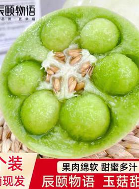 辰颐物语玉菇甜瓜现摘香甜当季