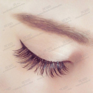 Ardell艾黛儿爱戴尔真毛发浓密仿真假睫毛WISPIES美呆1对 美国正品