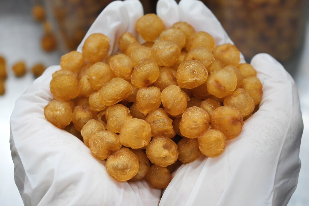 高州正宗野生老树鸡眼无添加无硫无核特级龙眼肉清甜可零食450克