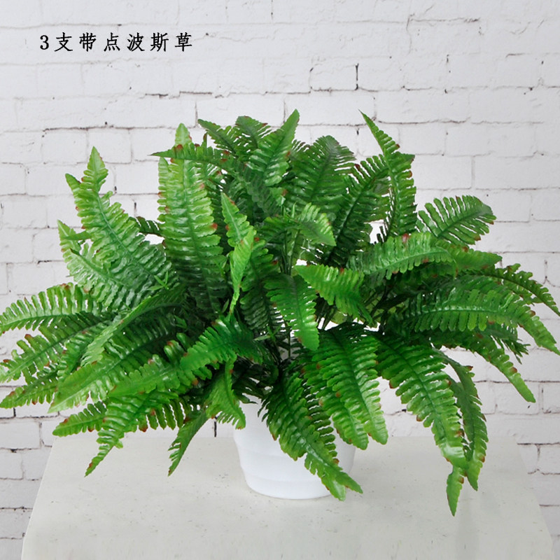 6 Simulation plants 7 forks Persia Plastic flowers Fake grass decorate Plant Wallin the Home accessories , Vase/Flower/Artificial flowers/Imitation jewelry , Artificial flowers/Artificial flower  category - from Buy2taobao.com to provide professional Taobao agent buy service