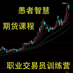 愚者智慧1.2.3期4.5期职业交易员训练营初中高期货课程陈向忠弟子