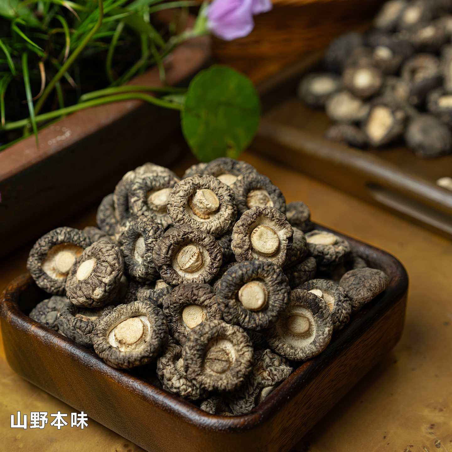 西峡黑面小香菇干货500g剪脚无硫