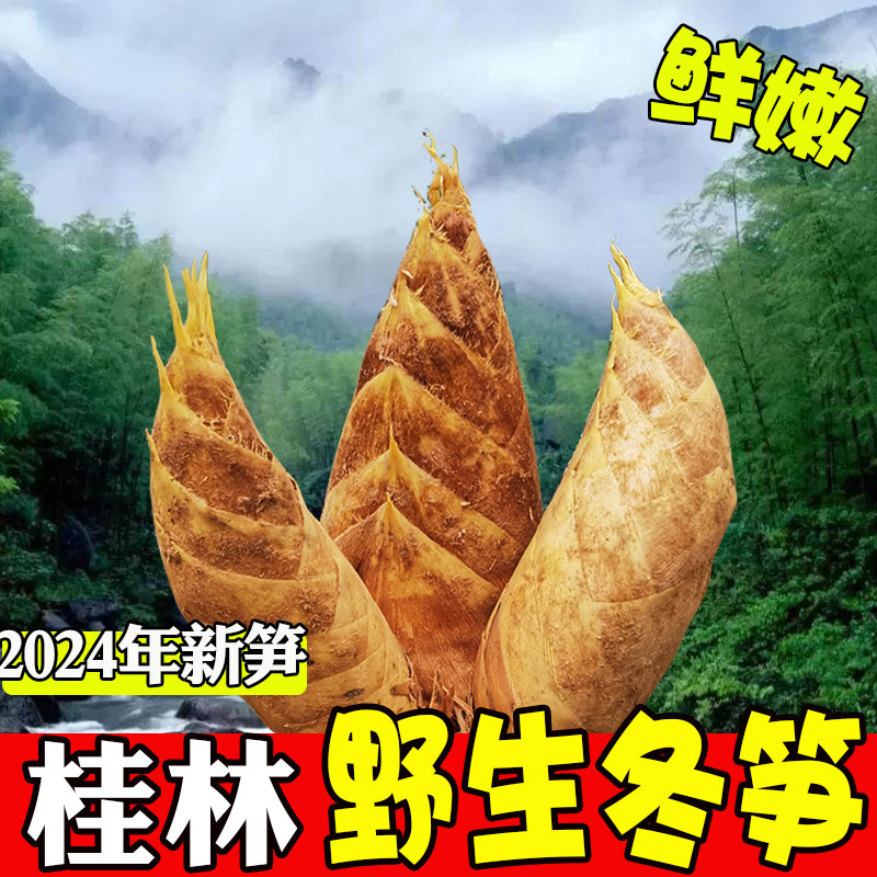 广西冬笋新鲜现挖野生楠竹毛竹笋桂林本地火锅炒菜专用特级笋商用,水产肉类/新鲜蔬果/熟食,竹笋,淘宝优惠券,粉丝福利购,淘宝优惠卷