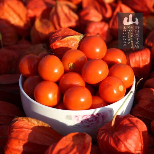 25年现摘东北红姑娘果