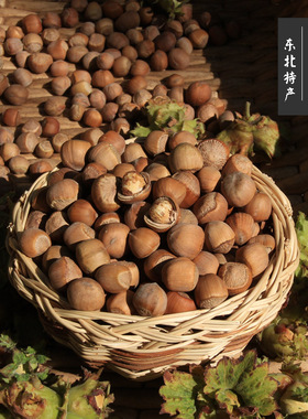 25年生榛子 东北铁岭野生小榛子晒干 食用原味坚果2斤