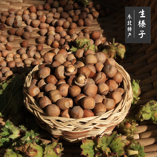 东北新货榛子野生小榛子