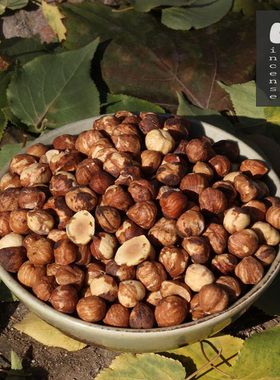 25年新货榛子仁 东北铁岭榛子野生原味烘培级 果仁  炒熟250gx2袋