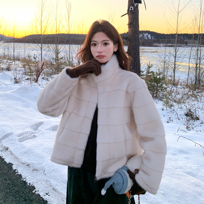 现货首发新款主推款仿水貂毛环保皮毛一体 冬装外套女