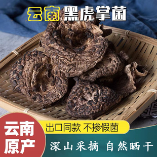 云南迪庆黑虎掌菌干货煲汤火锅食材的山货特产