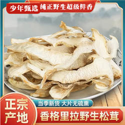 云南香格里拉松茸干片无虫眼干度好煲汤食材