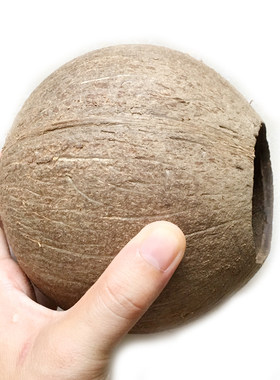 椰子壳老椰壳小开口diy灯具产地
