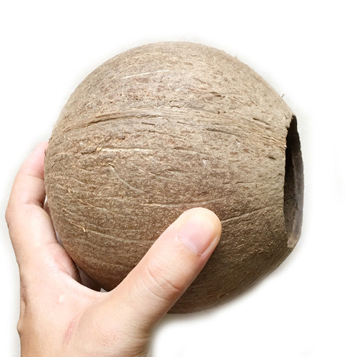 椰子壳老椰壳小开口diy灯具产地