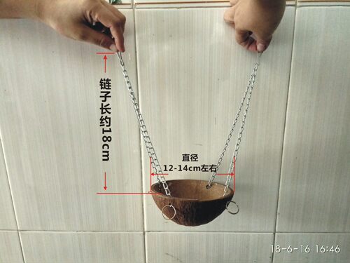 椰子壳金花魔王熊蜜袋宠物秋千
